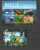 MICRONESIA 2015 FAUNA PASARI