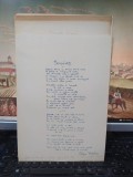 Olga Vrabie 25 poezii scrise de m&acirc;nă de un admirator c. 1930 Printre jucării 082