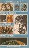 Pentru Ca Soarele Sa Nu Rasara Dinspre Asfintit - Corneliu Vlad - Roman, Editura Politica, 1987