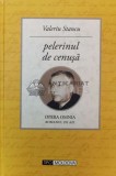 Cumpara ieftin Pelerinul de cenuşă - 2013 - Valeriu Stancu ($P31)