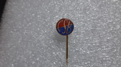 insigna CS Botosani foto