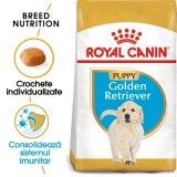 Royal Canin Golden Retriever Puppy, hrana uscata pentru caini juniori, 12 kg