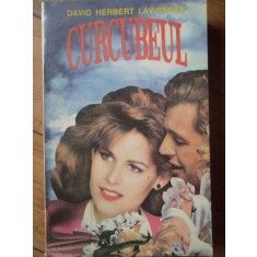 Curcubeul - David Herbert Lawrence ,306643