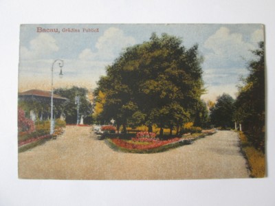 Carte postala Bacău-Grădina Publică,necirculata anii 20 foto