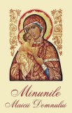 Minunile Maicii Domnului, - Editura Sophia