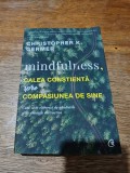 Calea constienta spre compasiunea de sine - Christopher K. Germer, 2018 / R6P5F