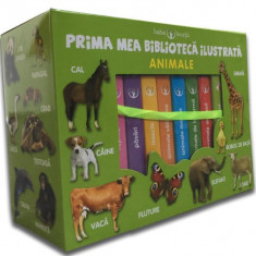 Cutie. Prima mea bibliotecă ilustrată. Animale. Bebe învață (8 cărticele)