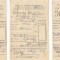 Rom&acirc;nia, Prefectura județului C&acirc;mpulung, lot 3 chitanțe, 1946