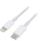 Cablu USB 2.0 Apple Lightning la USB C 1m