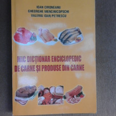 Mic dictionar enciclopedic de carne si produse din carne - Ion Cironeanu