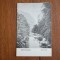 CP Baile Herculane Valea Cernei 1925