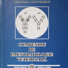 COMPENDIU DE IMUNOPATOLOGIE VETERINARA-HELGOMAR RADUCANESCU