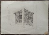 Foisor in padure// desen in creion, nesemnat si nedatat, Portrete, Cerneala, Altul