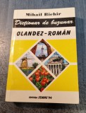 Dictionar de buzunar olandez - roman Mihail Bichir