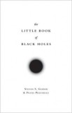 The Little Book of Black Holes