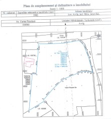 Teren intravilan 3982 mp de v&acirc;nzare &icirc;n Avrig, Sibiu