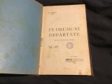 Pe drumuri departate de Nicolae Iorga anul 1904 / 224 pagini !