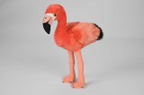 Jucarie Pasare Flamingo 23 cm nat geo