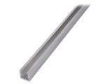 Radiator Extrudat U Natural KL-202/1000/M