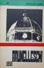 Brunelleschi - Nicolae Lupu, Tehnica 1984, Carte Constructii, Arhitectura, 49 Pagini, Romana