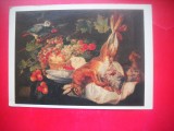 HOPCT 23718 IEPURE,FRUCTE SI PAPAGAL -JAN FYT 1611-1661 --RUSIA--MUZEE - CP PICTURA --NECIRCULATAMUNTII