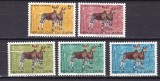Zair 1975 fauna parc Virunga okapi MI 505-509 MNH
