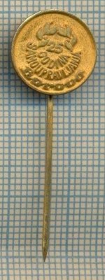 Y 441 INSIGNA -BOROVO -SAMO UPRAVLJANJA-CROATIA- IUGOSLAVIA-PENTRU COLECTIONARI foto