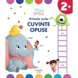 Primele mele cuvinte opuse, Disney Bebe, reeditare