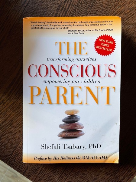 Shefali Tsabary The transforming ourselves Conscious empowering our children Parent