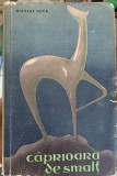 Caprioara de Smalt - Nicolae Teica - Roman, 1961, Editura Literatura, 414 pagini