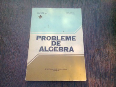 Probleme de Algebra , 1981 , Ion D. Ion, Constantin Nita foto