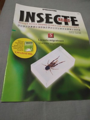 REVISTA INSECTE REALE NR.5 LACUSTA MIGRATOARE DOAR REVISTA foto