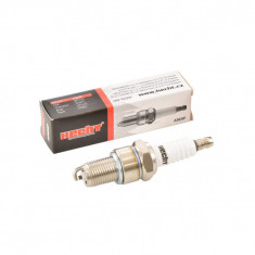 Bujie pentru drujbe HECHT A969P 746001076, pentru motoare in 4 timpi