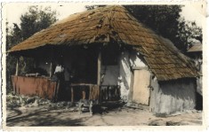 P1865N Casă din zona Bacău, fotografie colorizată din perioada regalității, studio Bilinski, București