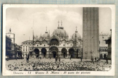 AD 352 C. P. VECHE -VENEZIA-PIAZZA S. MARCO-IL POSTO DEI PICCIONI-1931 BUCURESTI foto