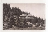 RF204 - Carte Postala - Masivul Rarau. Cabana Rarau, circulata 1964