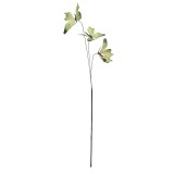 Cumpara ieftin Crenguta decorativa Fluturasi multicolori HA 10x10x65 cm