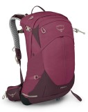 Rucsac Sirrus 24 Litri Elderberry Purple