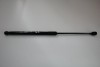 Amortizor haion st&acirc;nga MERCEDES-BENZ A W169 2007 OEM: A1697400045 1459184