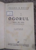 Ogorul Laura Rozan