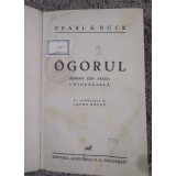 Ogorul Laura Rozan