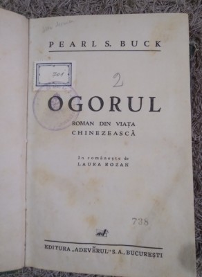 Ogorul Laura Rozan foto