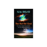 The Not-Yet God: Carl Jung, Teilhard de Chardin, and the Relational Whole