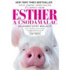 Esther, a csodamalac - Aki minden sz&iacute;vet megl&aacute;gy&iacute;t - Caprice Crane