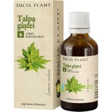 Tinctura De Talpa Gastei 50ml
