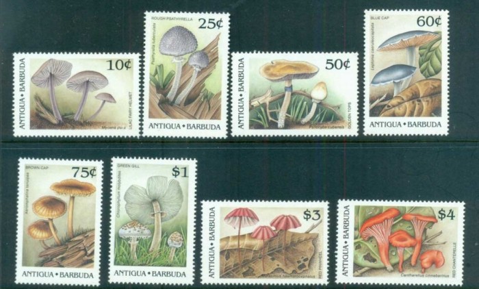 ANTIGUA 1989 CIUPERCI