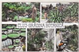 Bnk cp Cluj - Gradina botanica - circulata, Printata, Cluj Napoca