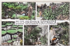 bnk cp Cluj - Gradina botanica - circulata