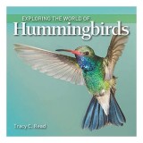 Exploring the World of Hummingbirds