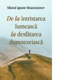 De la intristarea lumeasca la desfatarea dumnezeiasca - Sfantul Ignatie Briancianinov